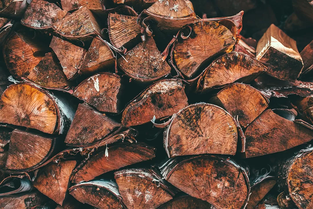 Stufe a legna: vedi i prodotti